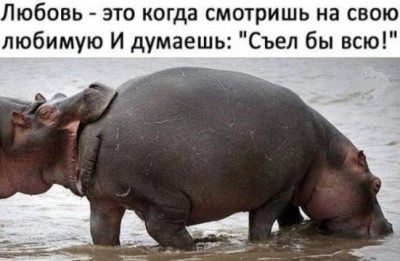 17.jpg (42.39 КБ) 2028 просмотров 17.jpg