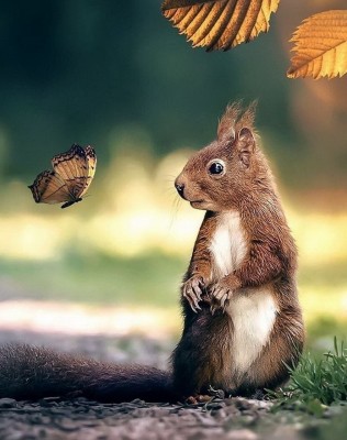 12.jpg (198.22 КБ) 2748 просмотров 12.jpg