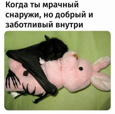 15.jpg (62.74 КБ) 2748 просмотров 15.jpg