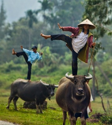 17.jpg (179.12 КБ) 2768 просмотров 17.jpg