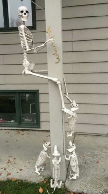 11.jpg (124.64 КБ) 2604 просмотра 11.jpg