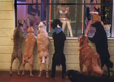 15.jpg (71.19 КБ) 2527 просмотров 15.jpg