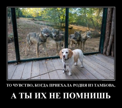 19.jpg (101.49 КБ) 2454 просмотра 19.jpg