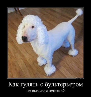 15.jpg (81.15 КБ) 2273 просмотра 15.jpg