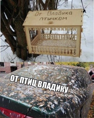 13.jpg (124.99 КБ) 2273 просмотра 13.jpg