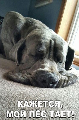 16.jpg (177.14 КБ) 2400 просмотров 16.jpg