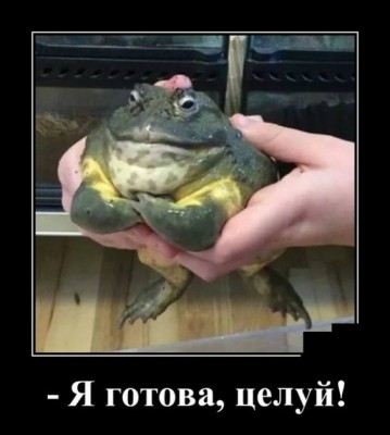 12.jpg (71.79 КБ) 2355 просмотров 12.jpg