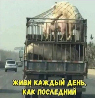 14.jpg (57.24 КБ) 2135 просмотров 14.jpg