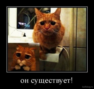 14.jpg (57.21 КБ) 2122 просмотра 14.jpg