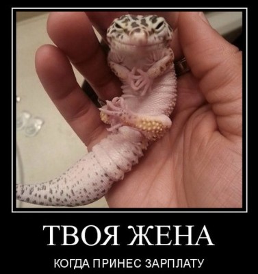 12.jpg (94.91 КБ) 2098 просмотров 12.jpg