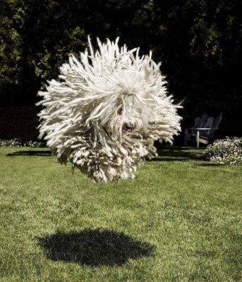 16.jpg (204.66 КБ) 2802 просмотра 16.jpg