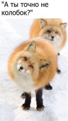 15.jpg (82.48 КБ) 2783 просмотра 15.jpg