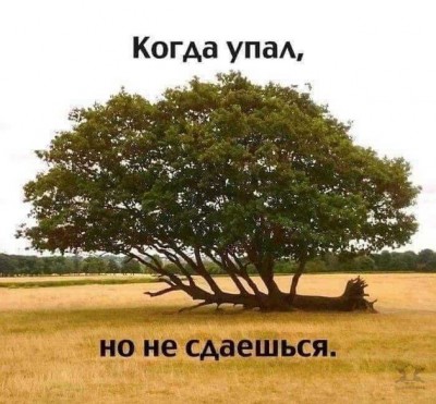 12.jpg (146.43 КБ) 2737 просмотров 12.jpg