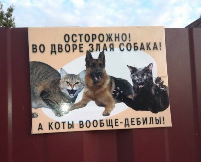 12.jpg (75.09 КБ) 2744 просмотра 12.jpg