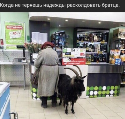 15.jpg (132.34 КБ) 2655 просмотров 15.jpg