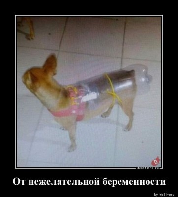 13.jpg (43.4 КБ) 2608 просмотров 13.jpg