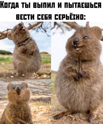 11.jpg (113.14 КБ) 2471 просмотр 11.jpg