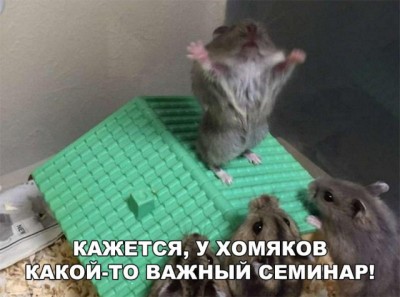 14.jpg (69.75 КБ) 2469 просмотров 14.jpg