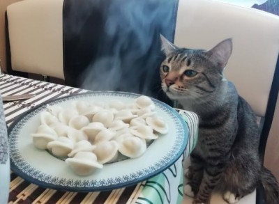 13.jpg (87.02 КБ) 2538 просмотров 13.jpg