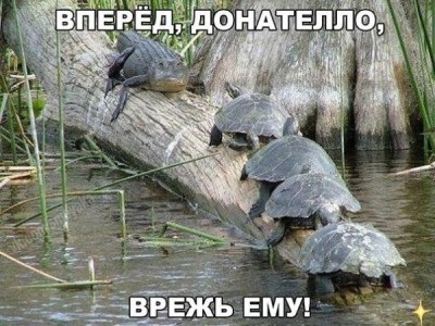 12.jpg (93.63 КБ) 2441 просмотр 12.jpg