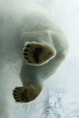 11.jpg (139.06 КБ) 2348 просмотров 11.jpg