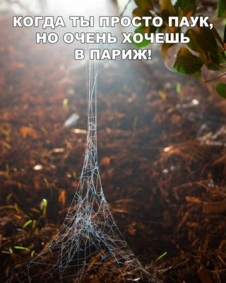 18.jpg (115.84 КБ) 2247 просмотров 18.jpg