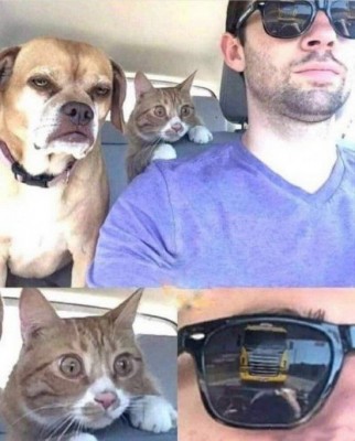 13.jpg (114.29 КБ) 2300 просмотров 13.jpg