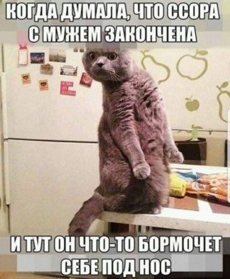 14.jpg (121.35 КБ) 2227 просмотров 14.jpg