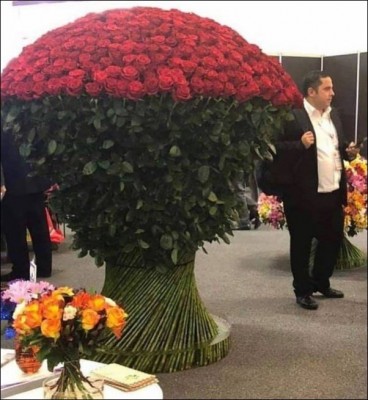 13.jpg (69.35 КБ) 2721 просмотр 13.jpg