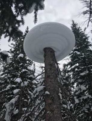 13.jpg (140.61 КБ) 2365 просмотров 13.jpg