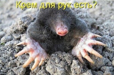 18.jpg (155.04 КБ) 2366 просмотров 18.jpg