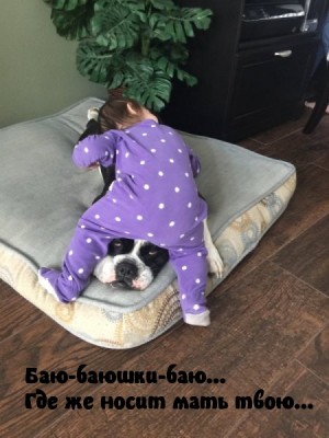 11.jpg (146.19 КБ) 2125 просмотров 11.jpg