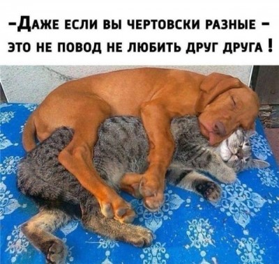 16.jpg (109.4 КБ) 1841 просмотр 16.jpg