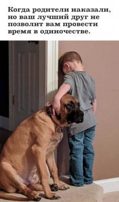 16.jpg (191.11 КБ) 2534 просмотра 16.jpg