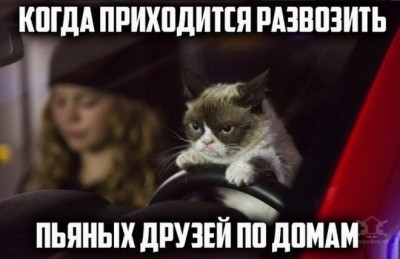 13.jpg (80.2 КБ) 2475 просмотров 13.jpg