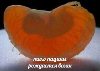 14.jpg (87.17 КБ) 2507 просмотров 14.jpg