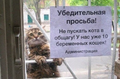 11.jpg (105.7 КБ) 2507 просмотров 11.jpg