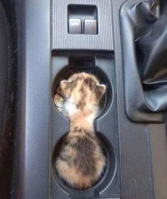 12.jpg (155.48 КБ) 2506 просмотров 12.jpg