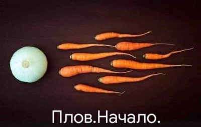 11.jpg (37.95 КБ) 2424 просмотра 11.jpg