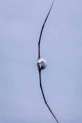 15.jpg (117.5 КБ) 2379 просмотров 15.jpg