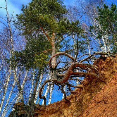 16.jpg (108.65 КБ) 2407 просмотров 16.jpg