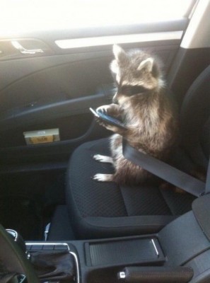 11.jpg (103.95 КБ) 2198 просмотров 11.jpg