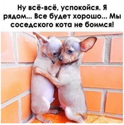 14.jpg (149.82 КБ) 2999 просмотров 14.jpg