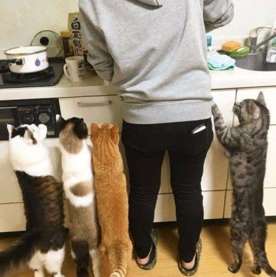 13.jpg (82.2 КБ) 2952 просмотра 13.jpg