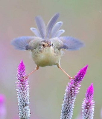 11.jpg (73.8 КБ) 2930 просмотров 11.jpg