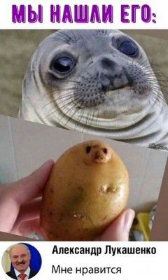 14.jpg (125.85 КБ) 2770 просмотров 14.jpg