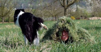 16.jpg (87.92 КБ) 2720 просмотров 16.jpg