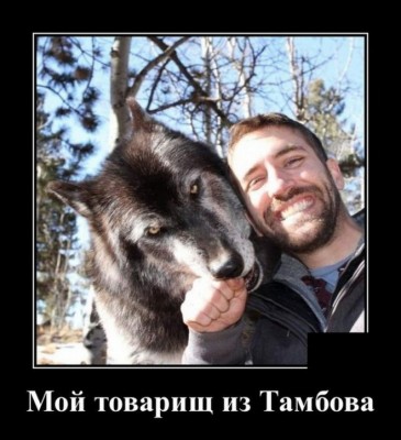 12.jpg (132.04 КБ) 2721 просмотр 12.jpg