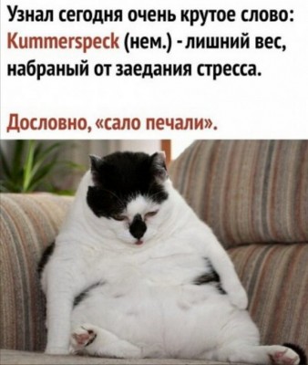 12.jpg (122.84 КБ) 3513 просмотров 12.jpg