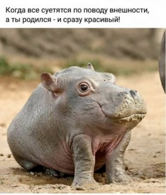 14.jpg (132.01 КБ) 3533 просмотра 14.jpg